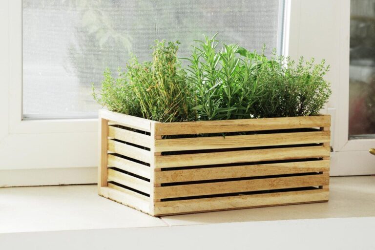 duze-prostokatne-donice-ogrodowe-jak-je-wykorzystac-w-aranzacji-przestrzeni-1