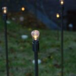 swiecace-gwiazdy-led-w-dekoracji-ogrodu-i-tarasu-1